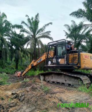Arara Abadi tumbangkan Sawit di Lahan KSO Agrinas