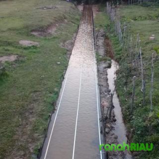Perebutkan Satu Ekor Sapi, Pacu Jalur Miniatur Piala Bergilir Ardi Setiawan Segera Digelar