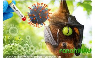 Virus Nipah Diam-diam Ada di Indonesia, Ilmuwan Ingatkan Risiko Wabah