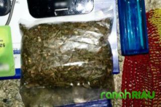 Deteksi X Ray bandara SSK II berhasil Gagalkan Penyelundupan Ganja 1 Kg