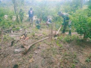 Satgas Yonif R 142 Reboisasi Sungai Asulait
