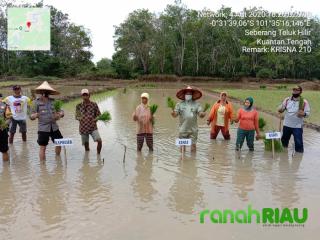 Polsek Kuantan Tengah dan Warga Bercocok Tanam di Kampung Tangguh