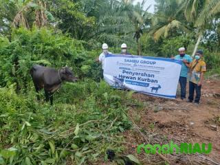 Tradisi Tahunan Idul Adha, Sambu Group Salurkan 6 Ekor Sapi dan 14 Ekor Kambing