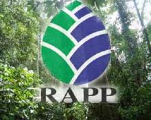 RAPP Raih Green Award 2017