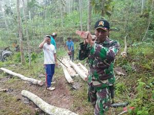 Demi Rumah Boinem, Serda Purwanto Masuk Hutan