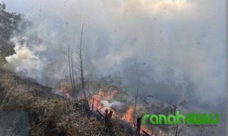 Tragis! 5 Relawan Karhutla Tewas di TNBTS, Suraji Alami Luka Bakar 49 Persen