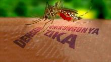 Masyarakat Diminta Waspadai Virus Zika
