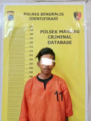 Diduga Mencuri Racun, Polsek Mandau Tangkap RN Seorang Warga Duri