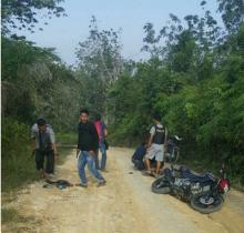 Melawan saat diamankan, pria pemilik Senpi ini terpaksa dilumpuhkan oleh Petugas