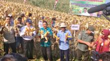 Kementan Fasilitasi Kerjasama Petani dan Peternak Ayam