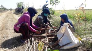 Mbah Sutari Dapatkan Keuntungan Ganda Adanya TMMD Reguler Tegal