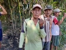 Pemilik Lahan Sepakat Pohon Untuk JUT Ditebang