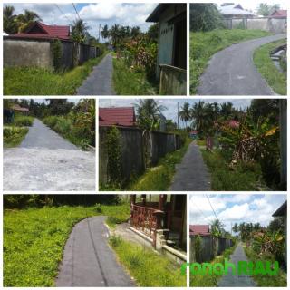 Tidak ada Penerangan, Jalan di Gelora  Gang Petai rawan kecelakaan