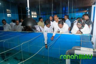 Kepri jadi Tuan rumah Rakornas Polsus PWP3K, Plt Marlin Agustina sampaikan Terimakasih 