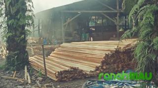 Pekerja Sawmil di Sijunjung, Akui Ada Dinas Terkait di Kuansing yang Ikut Bermain