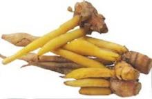 Mahasiswa UGM Lakukan Penelitian Solusi Obat untuk Kanker Payudara