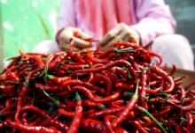 Pekanbaru Mampu Penuhi 30 Persen Kebutuhan Bawang Merah dan 70 Persen Cabai