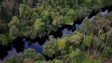 Dewan Minta Gubri Kembalikan Lahan ke Kawasan Hutan